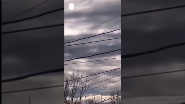 WTF