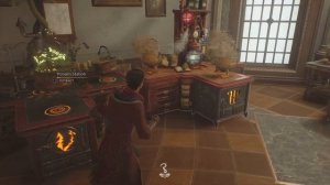 Hogwarts Legacy Room of Requirements Basics set-up for potions / plants / moonstone  / fertilizer