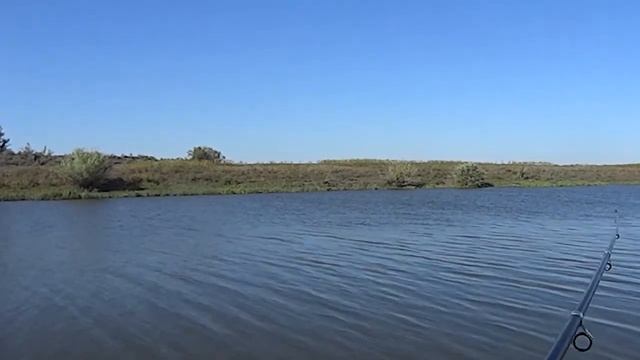 Воды по колено, а рыбы дох...я!!!! Хищная рыба осенью. смотреть онлайн