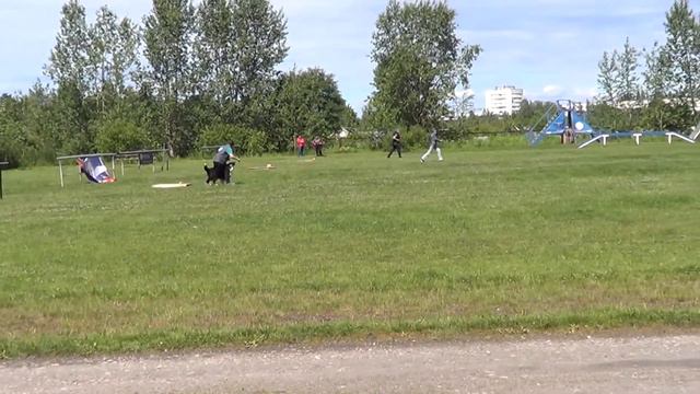 Команда Рапид