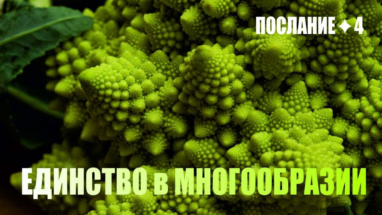 АРХИТЕКТОРЫ ВСЕЛЕННОЙ | Послание 4 | Единство в многообразии