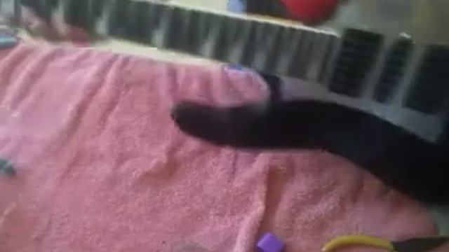 Dándole mantenimiento a una guitarra eléctrica ( Ibanez Gio ) смотреть онлайн