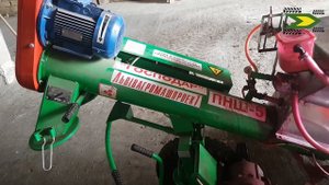 Фиаско! хотели протравить горох    а протравили горчицу