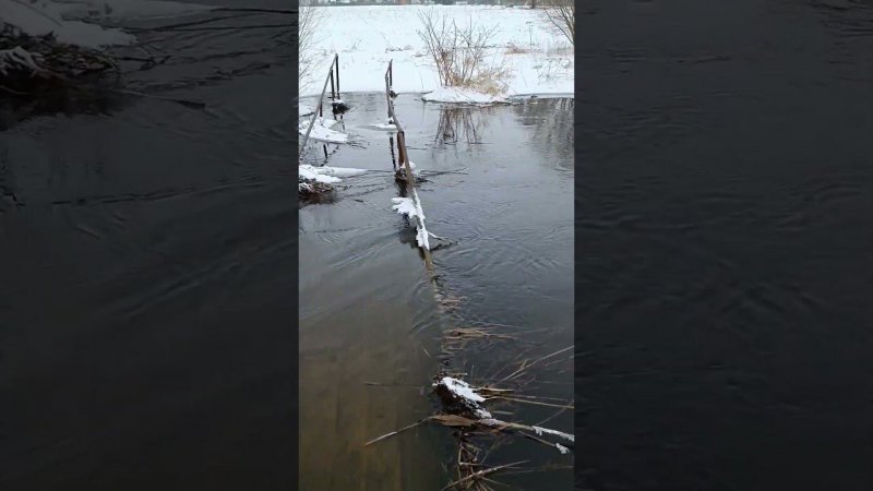 Когда дача - любимое дело, откуда всё появляется: и энергия в том числе тоже... Дачные будни.