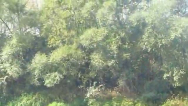 Васильевка 2 смотреть онлайн