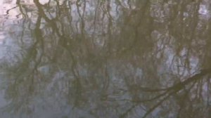 Рыбацкая деревня на ВДНХ