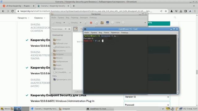 19 Установка антивируса Kaspersky Endpoint Security на AltLinux Workstation смотреть онлайн