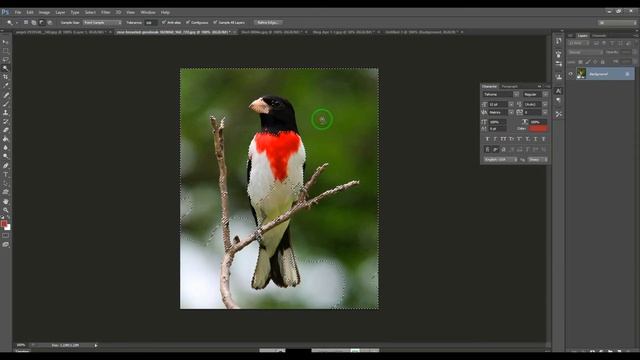 #how to use the magic wand tool in photoshop cs6(for beginner) смотреть онлайн