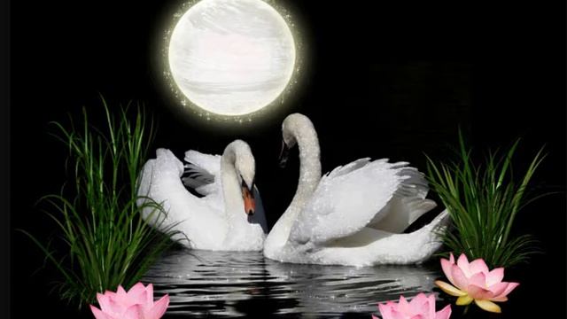 Медитация по привлечению своей 2 половинки смотреть онлайн