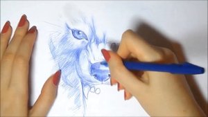 Рисуем волка ручкой