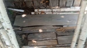 Приключения. 1 серия