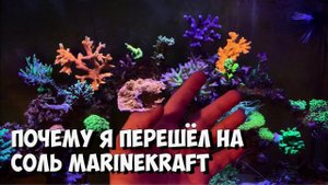 Почему я перешёл с Tropic Marine на MarineKraft