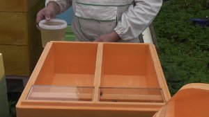 БИОПАСЕКА. Подготовка к зиме. Кормушка Нижегородец. Заливаем сироп.