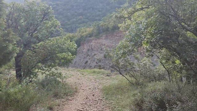 #АНАПА.27.08.21.+25.ВОДА+26.КУПАЛСЯ ЧАС. ОБЕЩАЛ ПОКАЗАТЬ МЕСТНУЮ "МЕДВЕДЬ ГОРУ".РОЗЫ.ВСЕМ ЗДОРОВЬЯ! смотреть онлайн