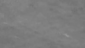 Тамара Миансарова Печальная чайка