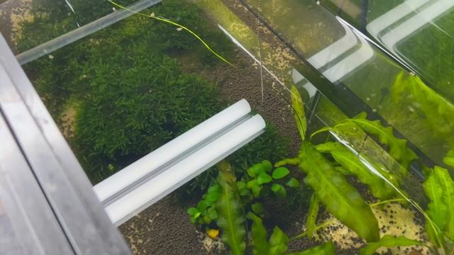 Jam Packed Dirty Little Fish Room Tour смотреть онлайн