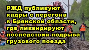 Кадры с перегона в Брянской области, где ликвидируют последствия подрыва грузового поезда
