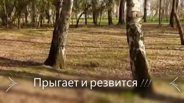 ВЕСНЫ и СОЛНЫШКА ВАМ в ЛАДОШКИ, ДРУЗЬЯ МОИ от БЕЛОЧКИ !!! ?☀?☁СОЛНЕЧНЫЙ ОСТРОВ. МОЙ КРАСНОДАР !!! ?