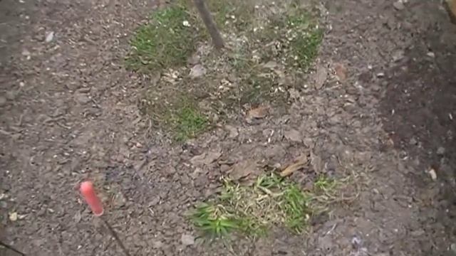 Придомовая территория // САД и ОГОРОД//House territory смотреть онлайн