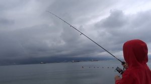 Ласкирь на блесну