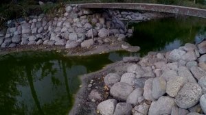 Пруд на участке.Водоём на участке. Пруд своими руками. Искусственный пруд.