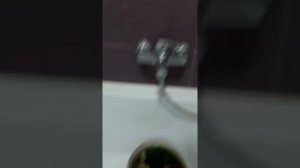 Как отбелить кораллы и аквариумный декор.