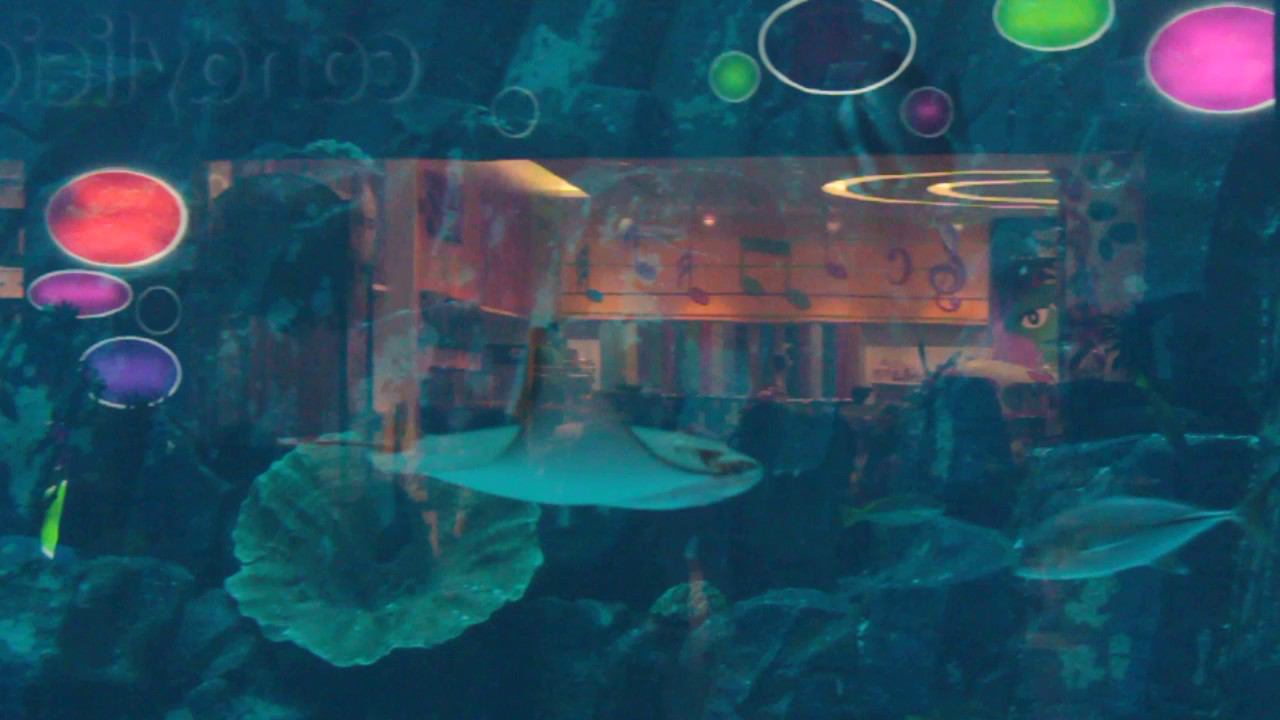 Аквариум - Океанариум в Дубае смотреть онлайн