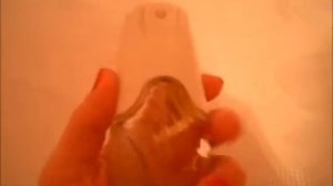 CREATION  TED LAPIDUS .Review