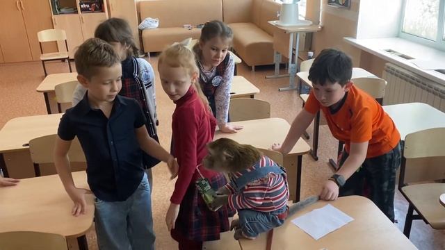 Макака в школе смотреть онлайн
