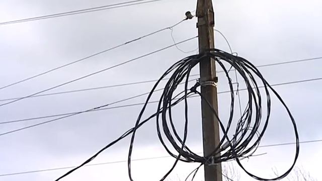 Предупреждение МЧС: в Ярославской области ожидается резкое ухудшение погоды смотреть онлайн