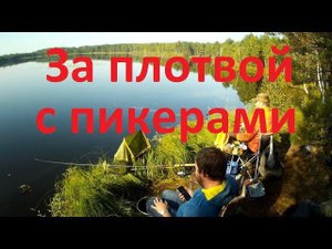 За плотвой с пикерами!