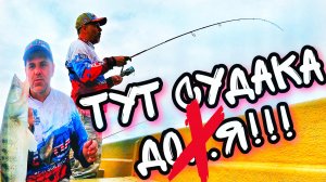 РЫБАЛКА МЕЧТЫ Тонны судака у берега жадно рвут приманки Рыбалка в Астрахани летом