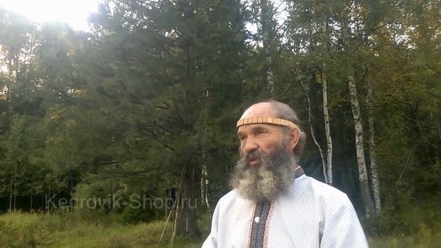 Как быстро напитать энергией клетки и Значение воды в организме человека