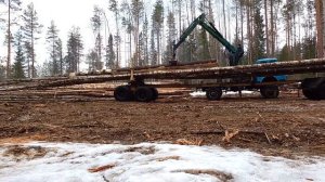 Работа на хлыстовозе. Весенняя вывозка леса по болотам в Архангельской области.