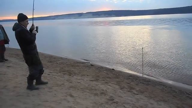 Налим Весна май 2017 зачетная рыбалка./Burbot may 2017 Spring test fishing. смотреть онлайн