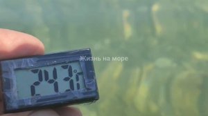 Дивноморское. Погода 17.08.2024