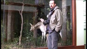 По реке Воронеж и ее притоку