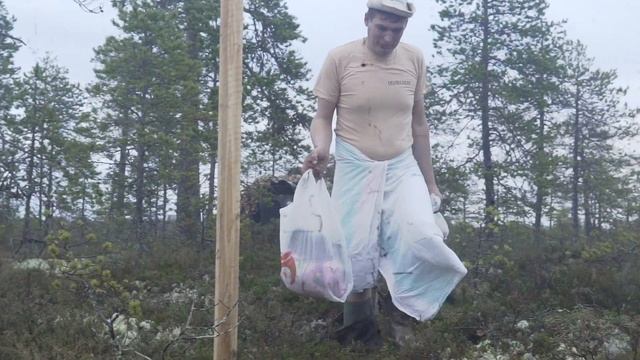 Мобильная баня / Болотная быль смотреть онлайн