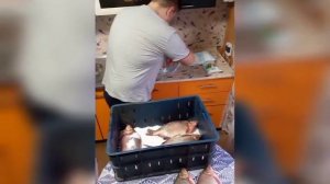 Лещ сухого посола 👍👍👍👍🐟🐟🐟🐟🐟🐟Отличный вариант для Летнего сезона.