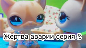 Лпс сериал: ЖЕРТВА АВАРИИ (Серия 2)