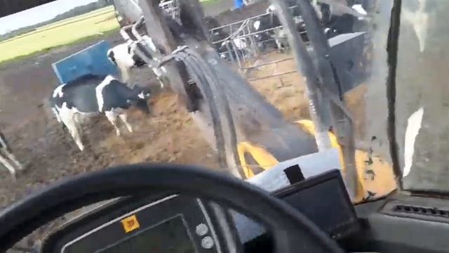 РАБОТА В ШВЕЦИИ НА ФЕРМЕ :) смотреть онлайн