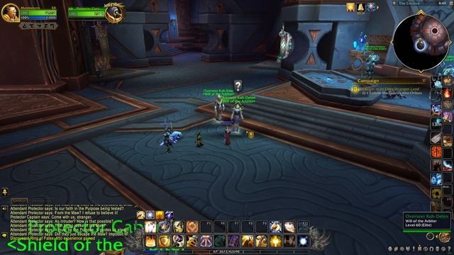 Blood Elf Paladin, Blood Blood, Shadowlands смотреть онлайн