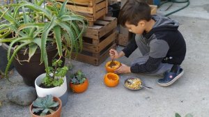 ¿Como hacer una maceta de calabaza?