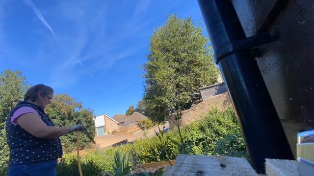 Square foot container garden | direct sowing | transplanting leeks смотреть онлайн