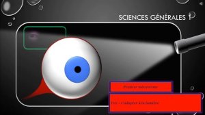 SCG4059 Dossier 4 : Le système nerveux