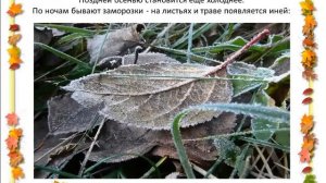 Презентация для детей.  Осень mother-and-baby.ru