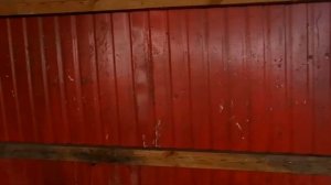 Уборка чеснока и воздушку чеснока!