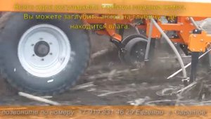 посевной комплекс муза анкерный сошник
