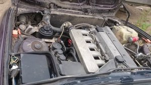 M51d25 tds, стук и вибрация.