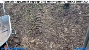 Установил две теплицы 3 на 4 метра на участке для выращивания рассады